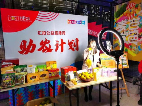 泉州微公益深耕互联网公益 赋能网络文化建设与互联网文化活动的创新实践