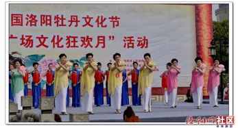 各模特队显身手——周王城广场牡丹文化节活动掠影