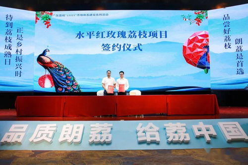 品质朗荔 给荔中国 2021第七届中国·东莞互联网荔枝节暨大朗荔枝品牌文化推广盛大启动